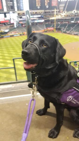 /Images/uploads/International Guiding Eyes Inc/gdapawsitivitycalendar/entries/20041thumb.jpg